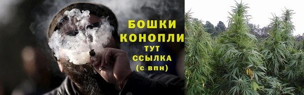 стаф Белокуриха