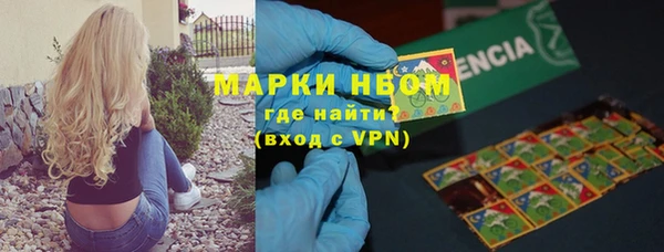стаф Белокуриха